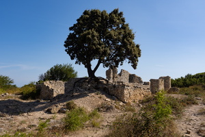 Ruines de Saint Jean de Rouzigue